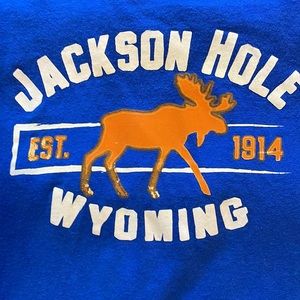 Moose T-shirt Jackson hole Wyoming youth group